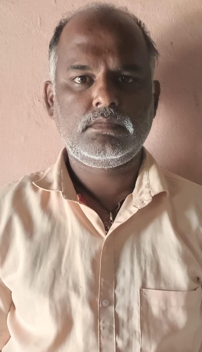 सदस्य